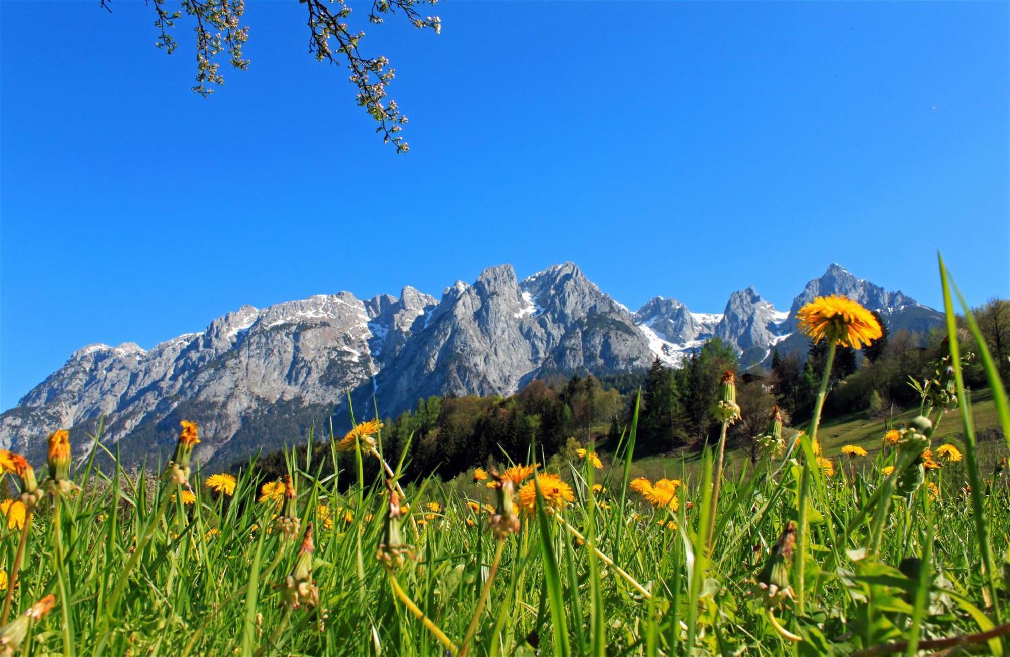 Pension Sonneck Pfarrwerfen Exteriör bild