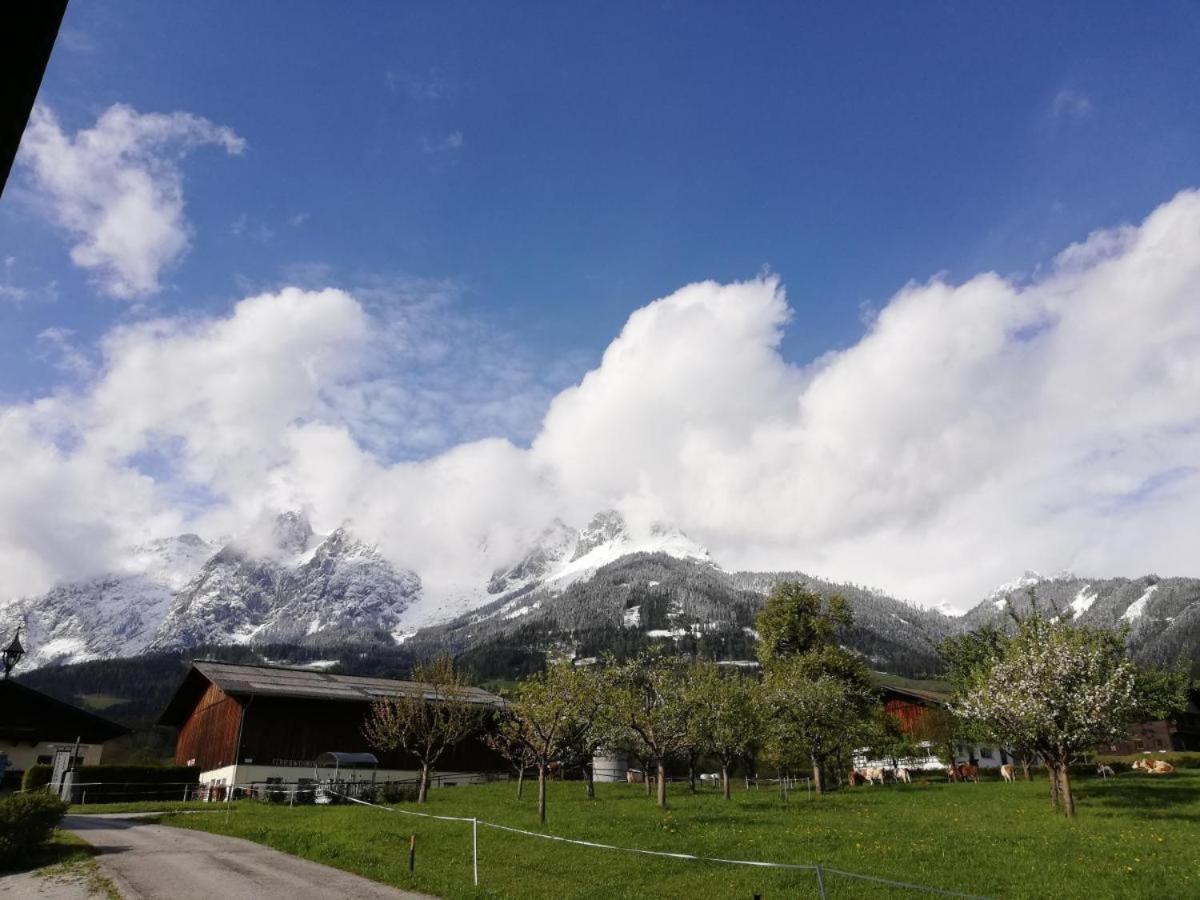 Pension Sonneck Pfarrwerfen Exteriör bild